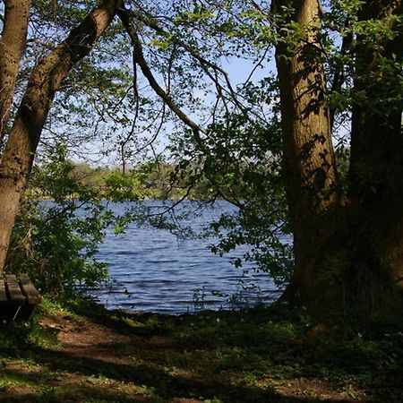 Fewo Am See 15A Klein Wittensee 외부 사진