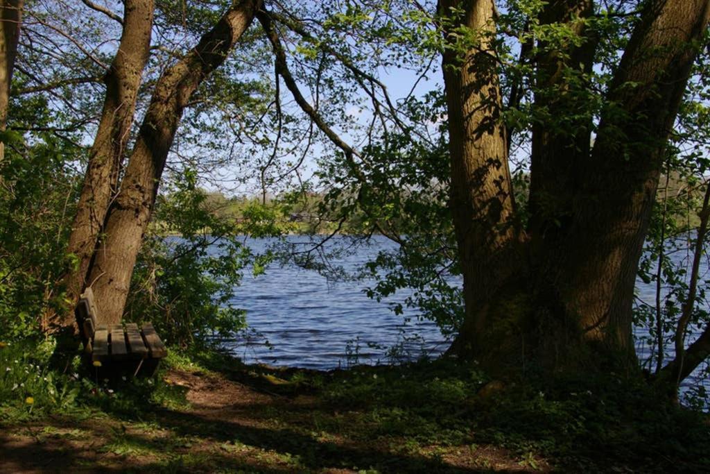 Fewo Am See 15A Klein Wittensee 외부 사진
