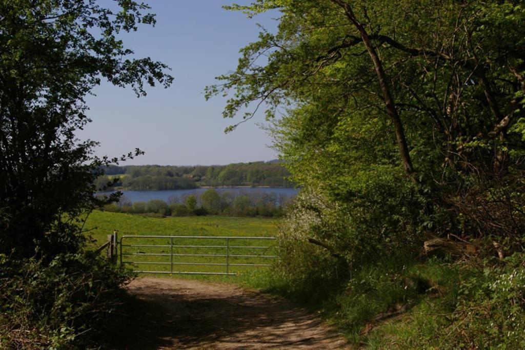 Fewo Am See 15A Klein Wittensee 외부 사진
